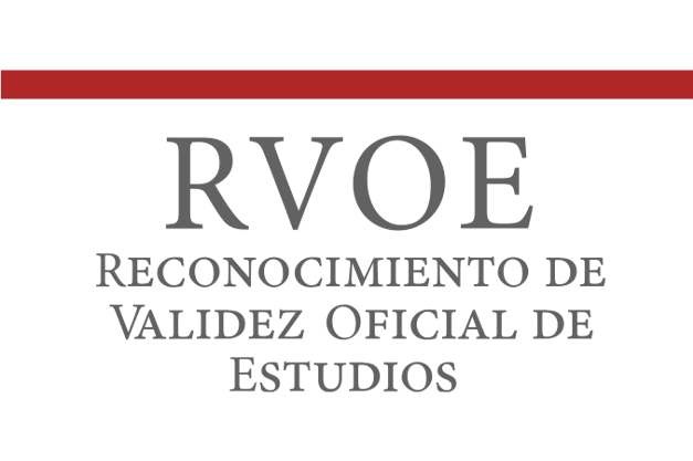Muchas de nuestras formaciones cuentan con el Reconocimiento de Validez Oficial de Estudios <strong>(RVOE)</strong> en el sistema educativo mexicano*.
