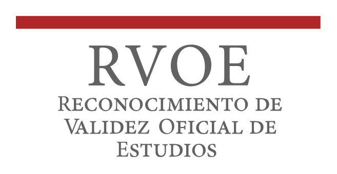 Empresa colaboradora Tokio School